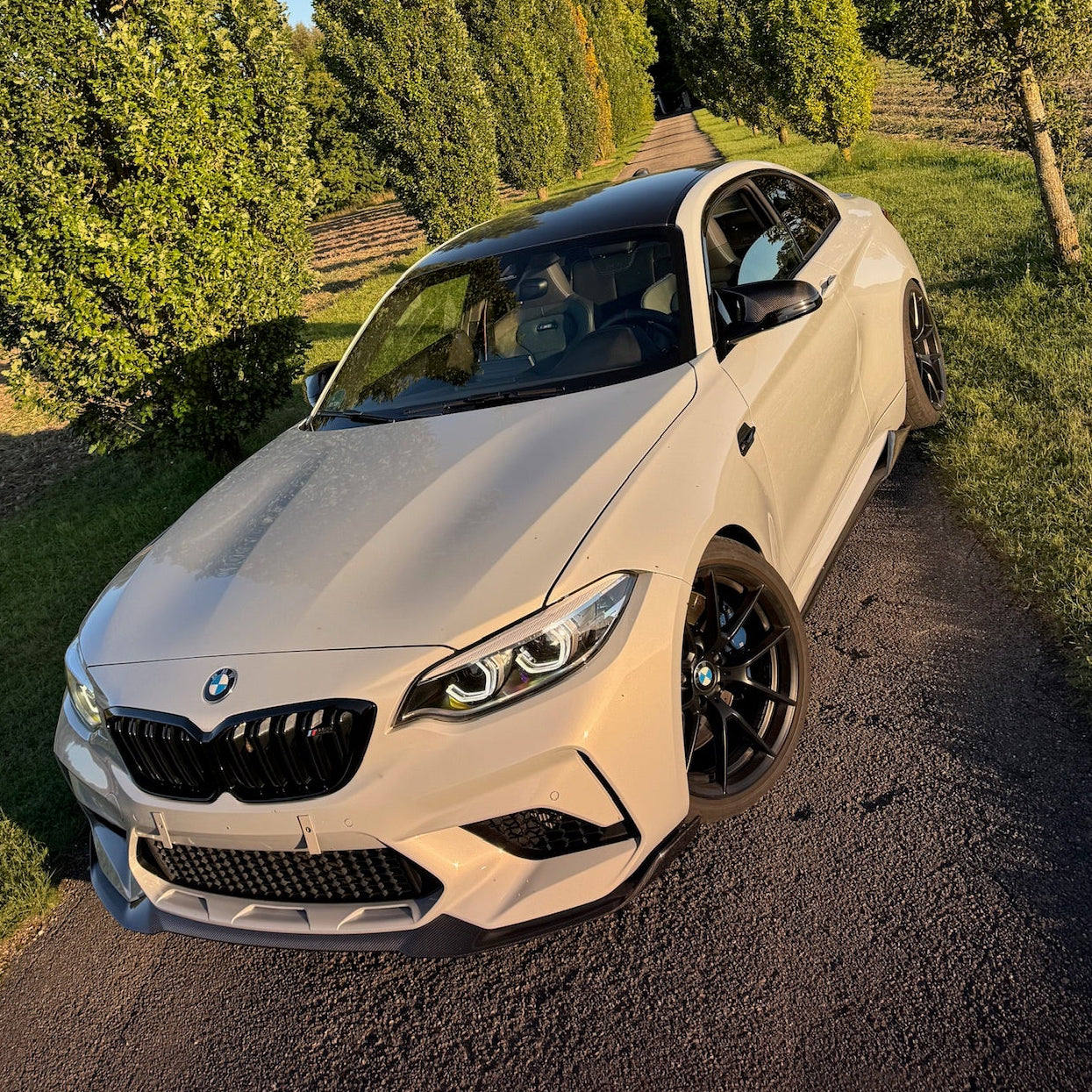 Carbon Fiber Front Spoiler Style passend für BMW F87 M2C M2