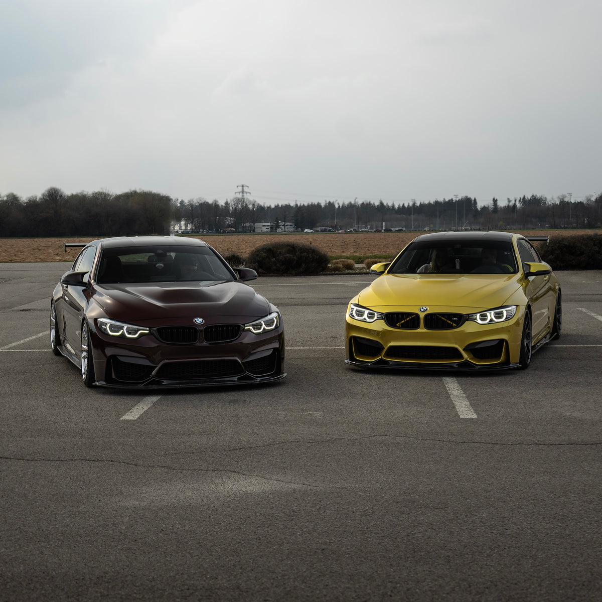 Carbon Frontlippe V10 passend für BMW M4 F82 M3 F80