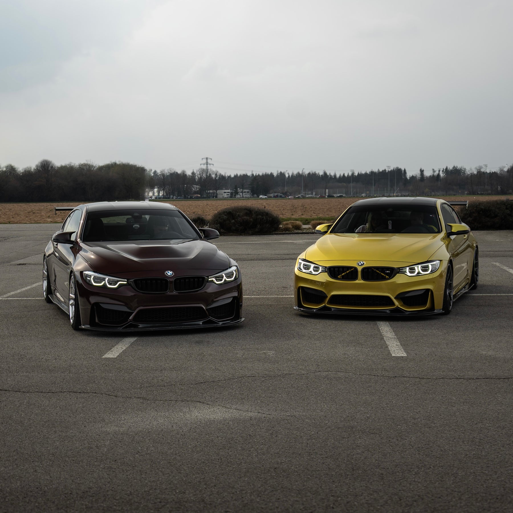 Carbon Frontlippe V10 passend für BMW M4 F82 M3 F80
